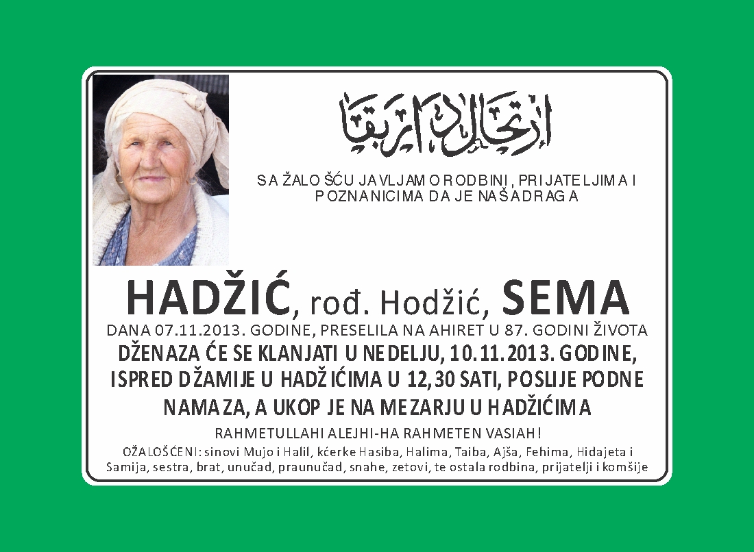 HADZIC20SEMA20ZA20WEB